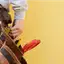 Handyman repair service in Detroit, MI for home fixes and improvements